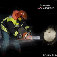 Sym_Motorsäge.jpg