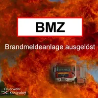 bmz_symb_flamme.jpg