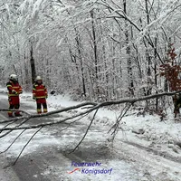 2024-01-07 Schneedruck2.jpg
