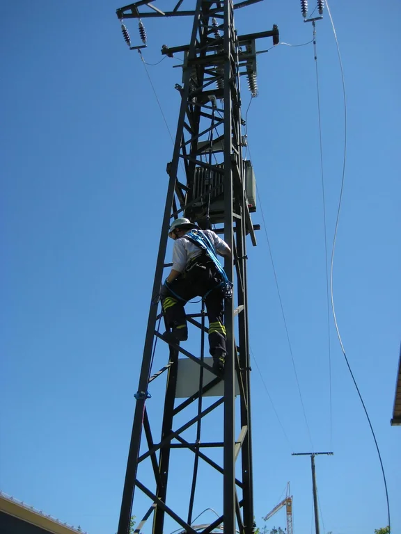 ASS-Mast.JPG