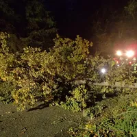 2018-10-30_sturm_2.jpg