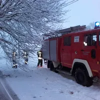 thl_baum_mooseurachererstr.jpg
