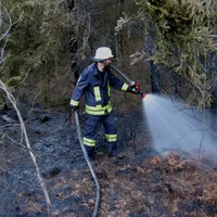 waldbrand.jpg