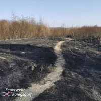2022-03-21_isarauen1.jpg