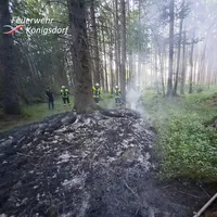 2022-08-14_waldbrand6.jpg