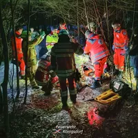 2026-01-16 Grundholz1.jpg